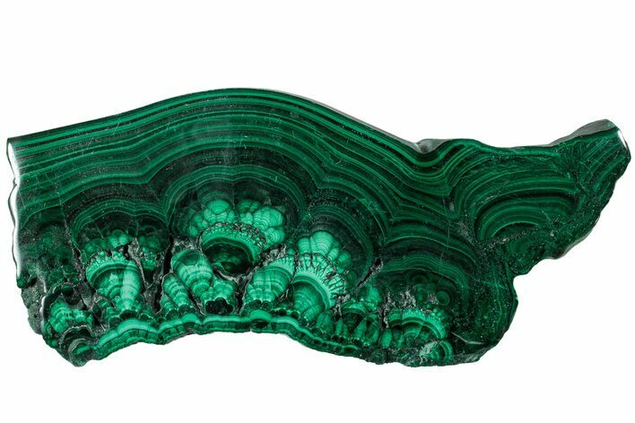 Polished Malachite Slab - Congo #229690